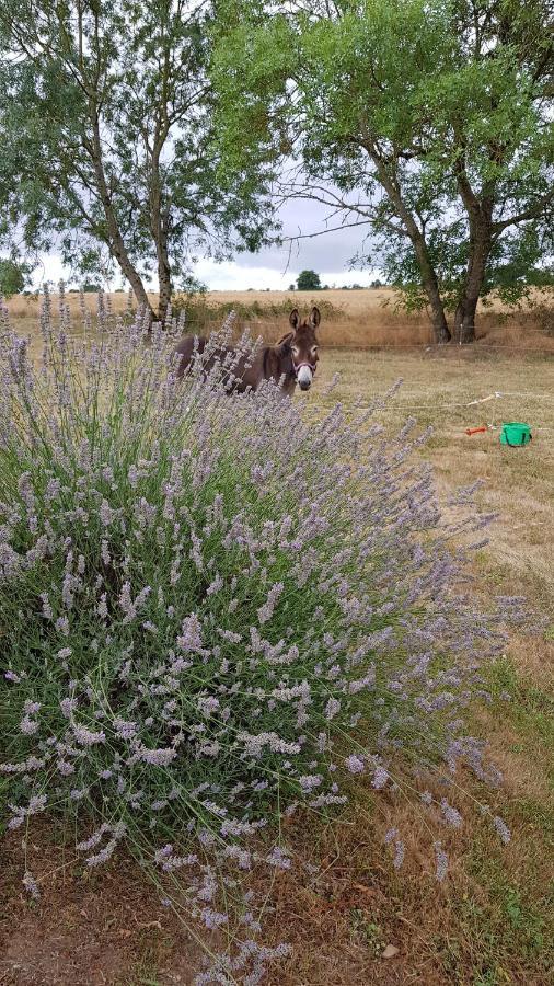 Camping La Petite Houmee Curzay-sur-Vonne ภายนอก รูปภาพ